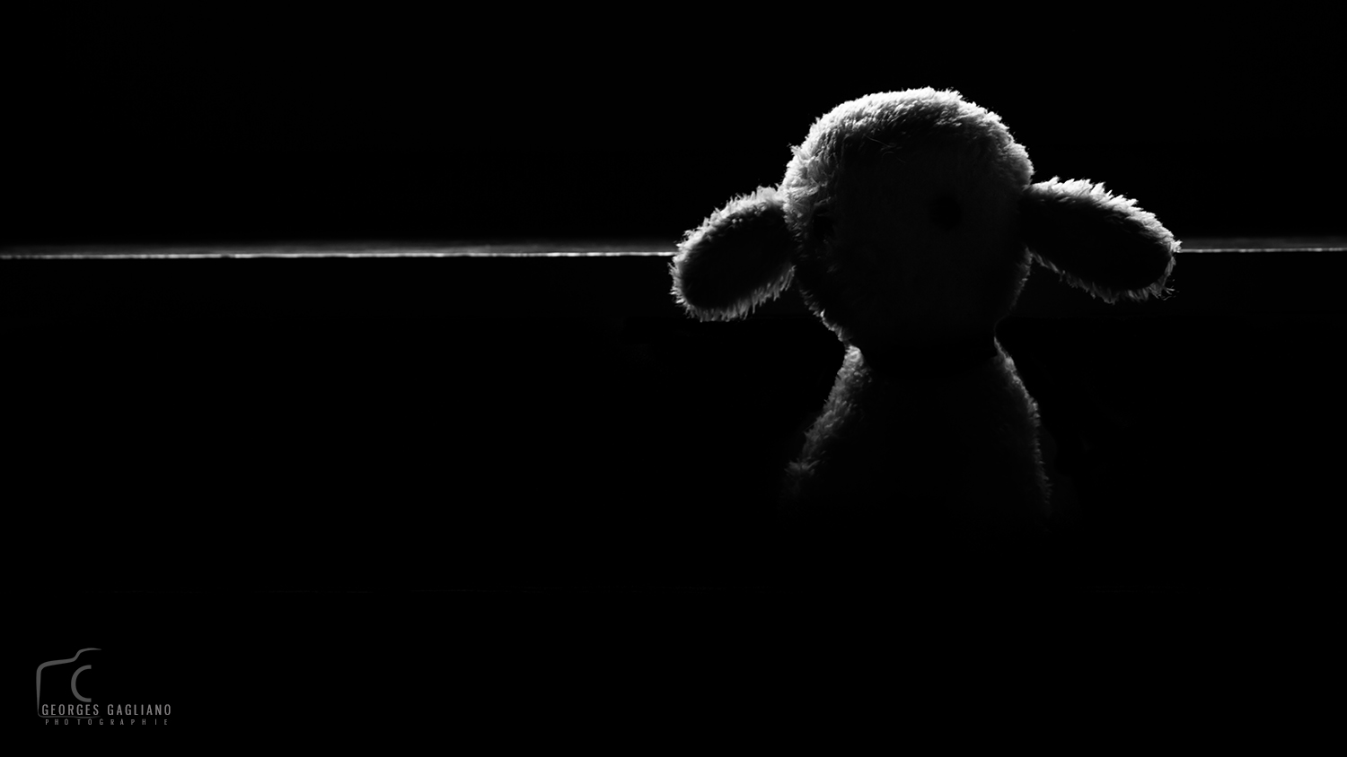 Georges Gagliano Photographies